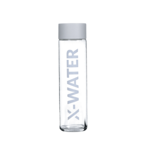 Bouteilles en verre x-bottle couleur silver